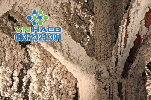 Natri cacbonat có sẵn trong các mỏ muối