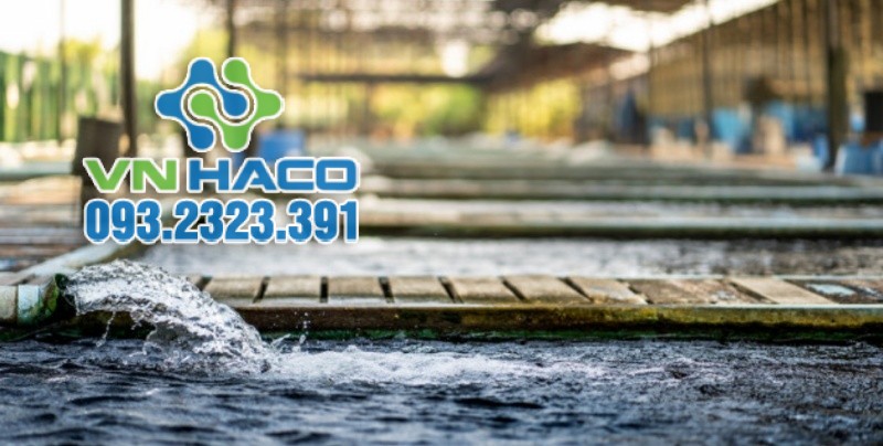 Nước javen được dùng trong khử trùng, diệt khuẩn nước 