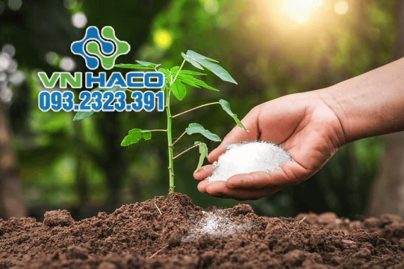 Amoni clorua được xem là nguồn cấp nitơ trong phân bón