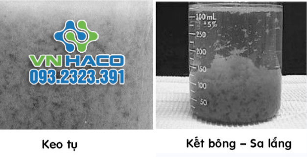 Quá trình keo tụ và tạo bông của nước thải khi dùng A1110