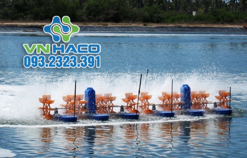 Tăng cường bật quạt nước khi sử dụng thuốc tím trong ao nuôi