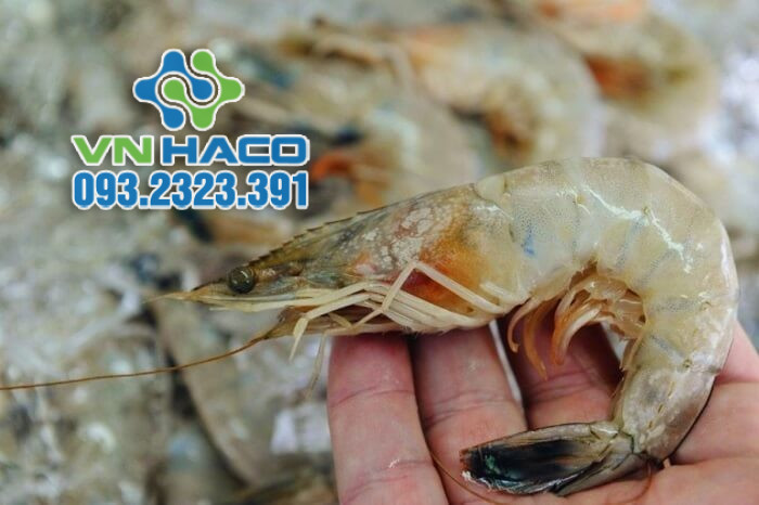 HacoChem – Hóa chất công nghiệp, thực phẩm, xử lý nước chính hãng 093.2323.391