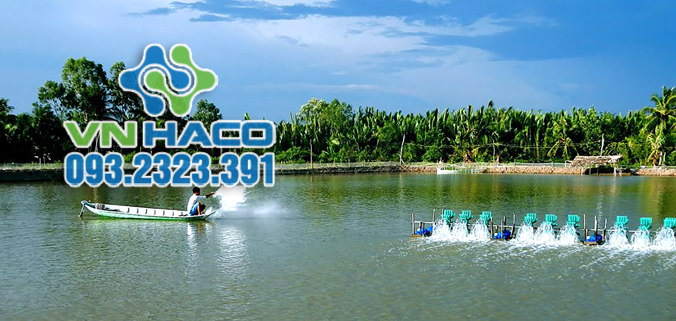 CaCO3 có vai trò quan trọng trong tiêu diệt nấm bệnh trên thủy sản