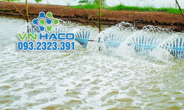 EDTA khử trùng nguồn nước và làm mềm nước