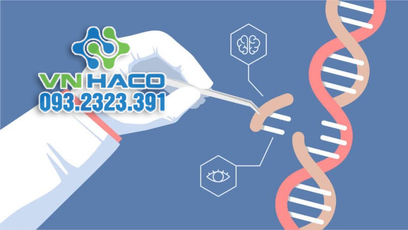 dot-bien-gen-la-gi-3