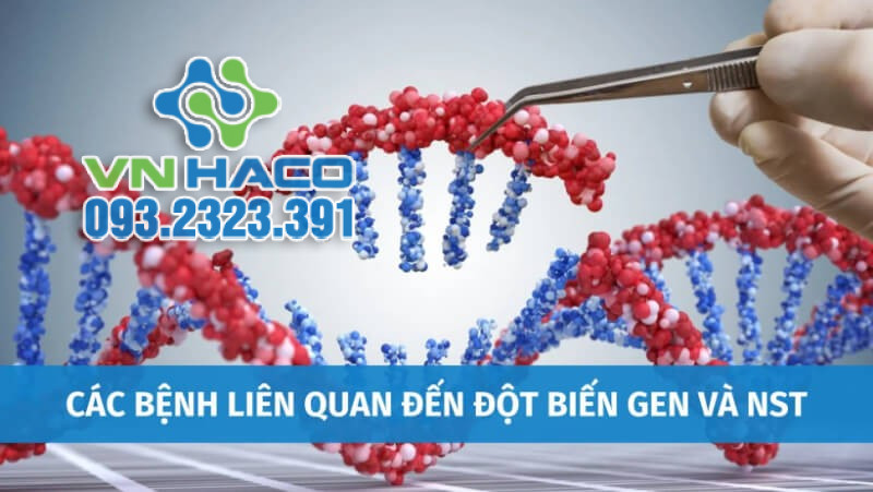 dot-bien-gen-la-gi-4