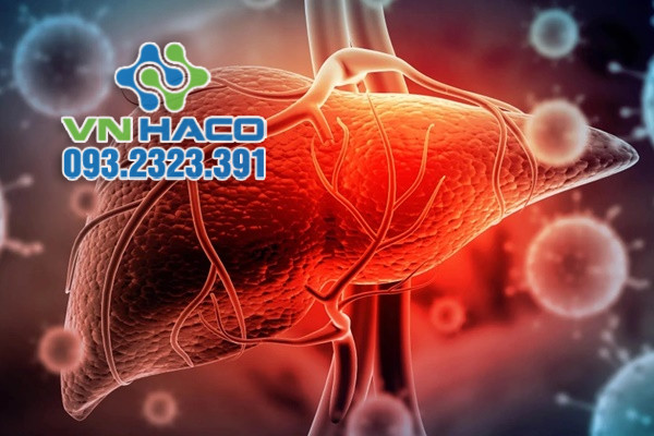 Gan có thể tự tái sinh khi bị tổn thương hay không?-1